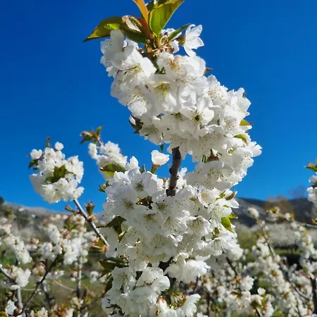 Albareilla By #Cherrygredos El Arenal  Exterior photo