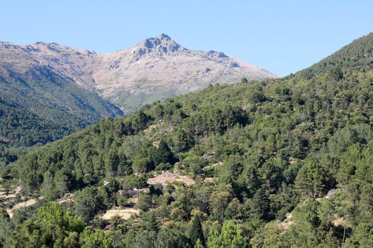 Albareilla By #cherrygredos Apartment *
