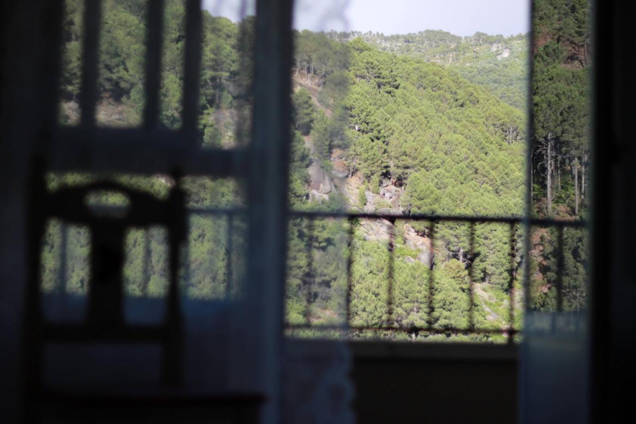 Albareilla By #cherrygredos * S’Arenal