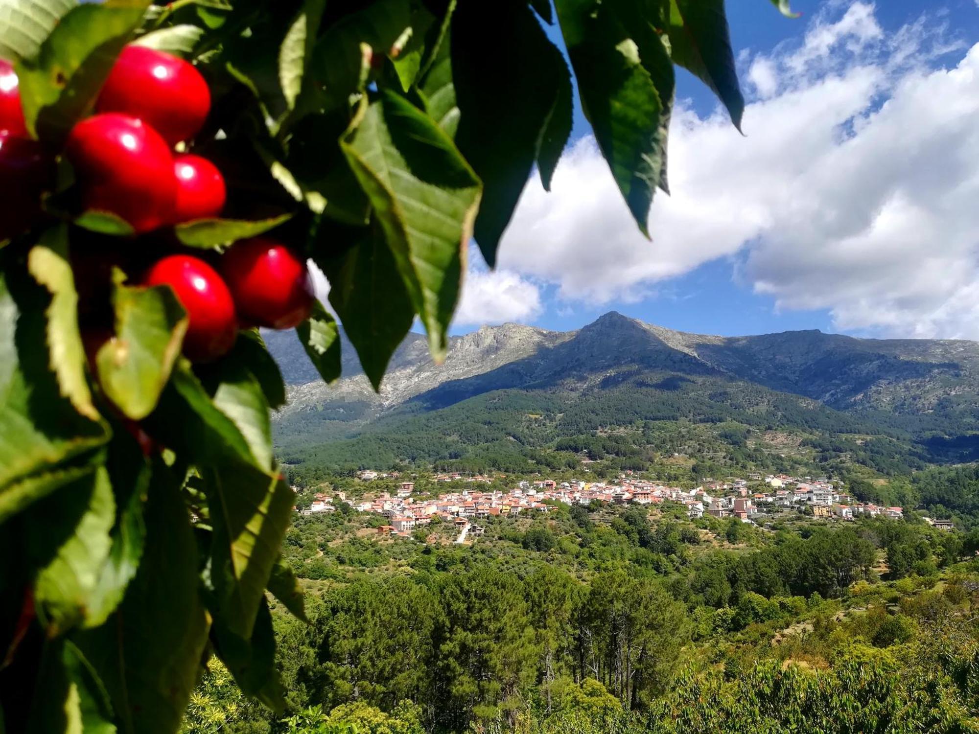 Albareilla By #cherrygredos Apartment