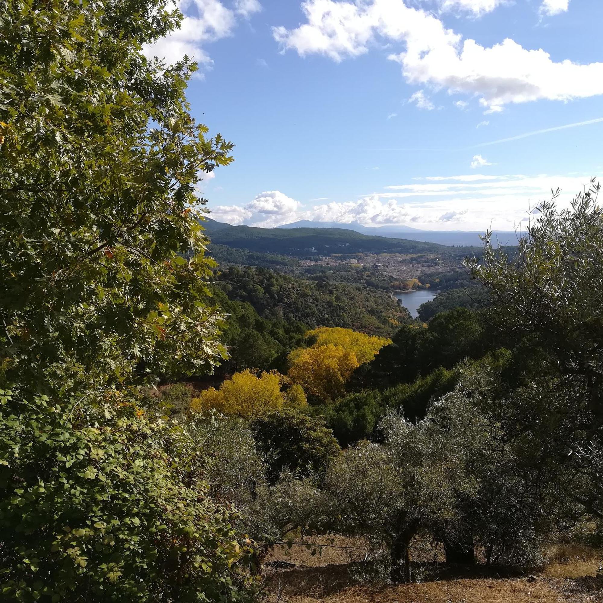 Albareilla By #cherrygredos S’Arenal