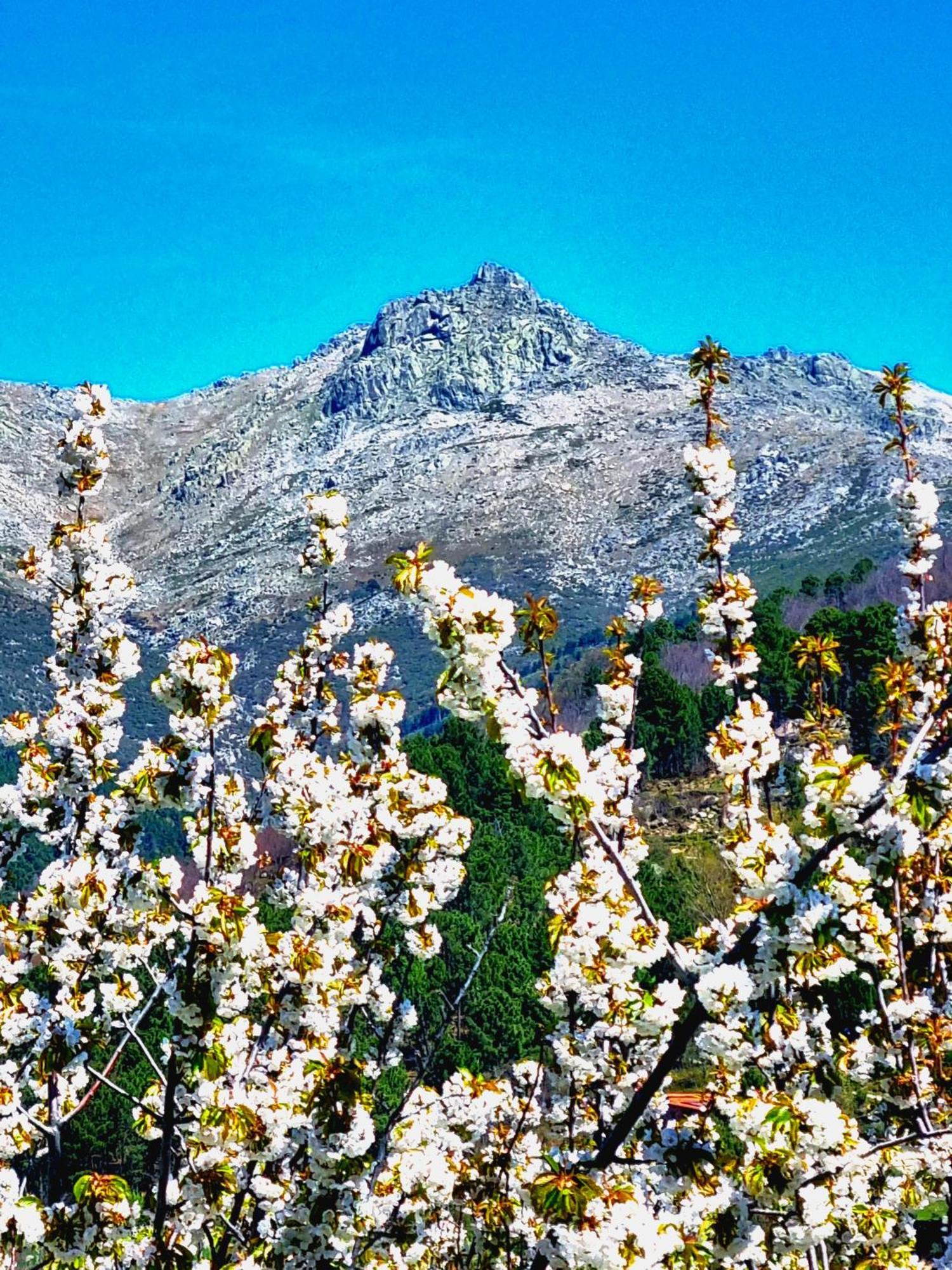 Albareilla By #cherrygredos Apartment S’Arenal