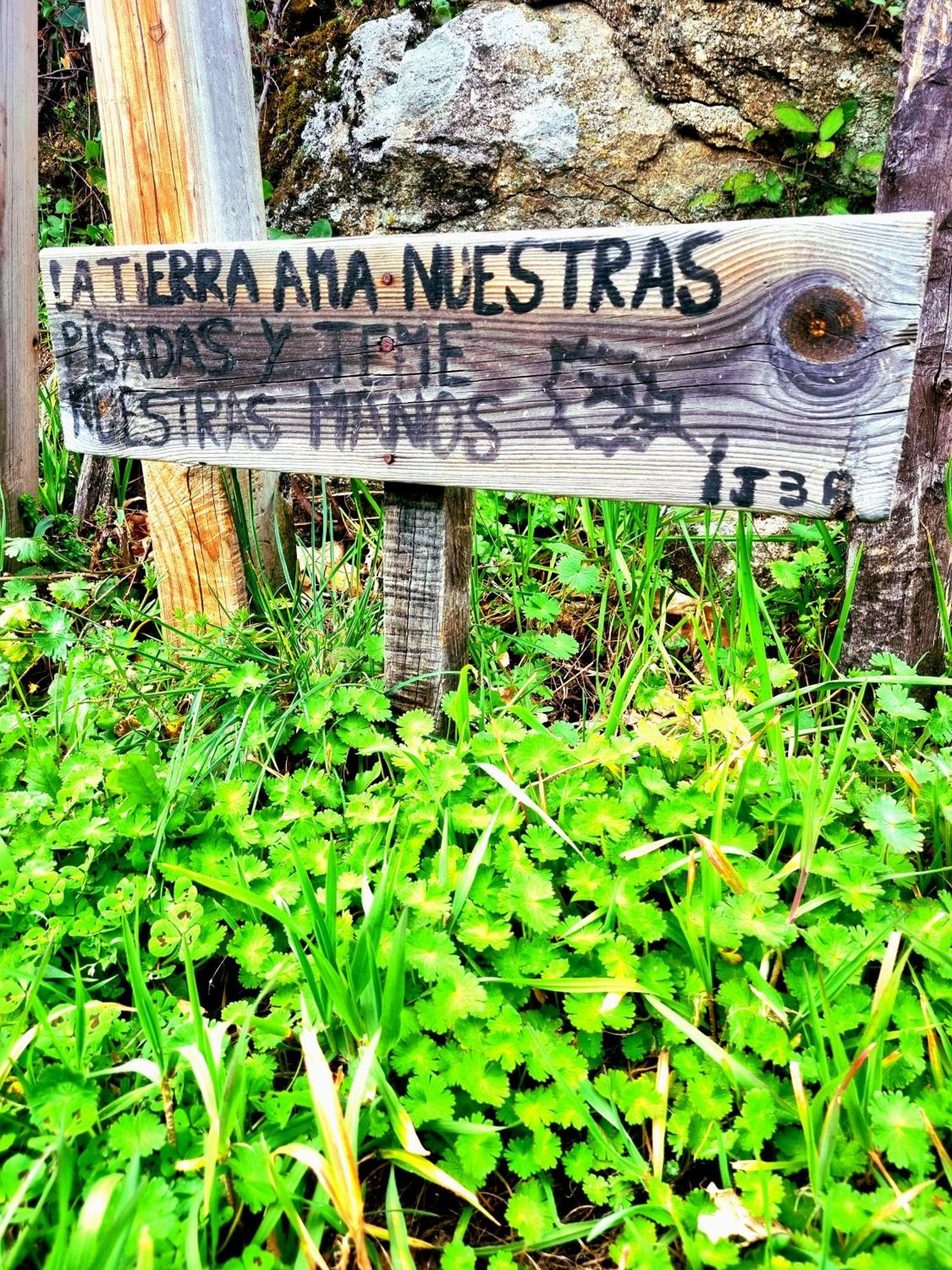 Albareilla By #cherrygredos